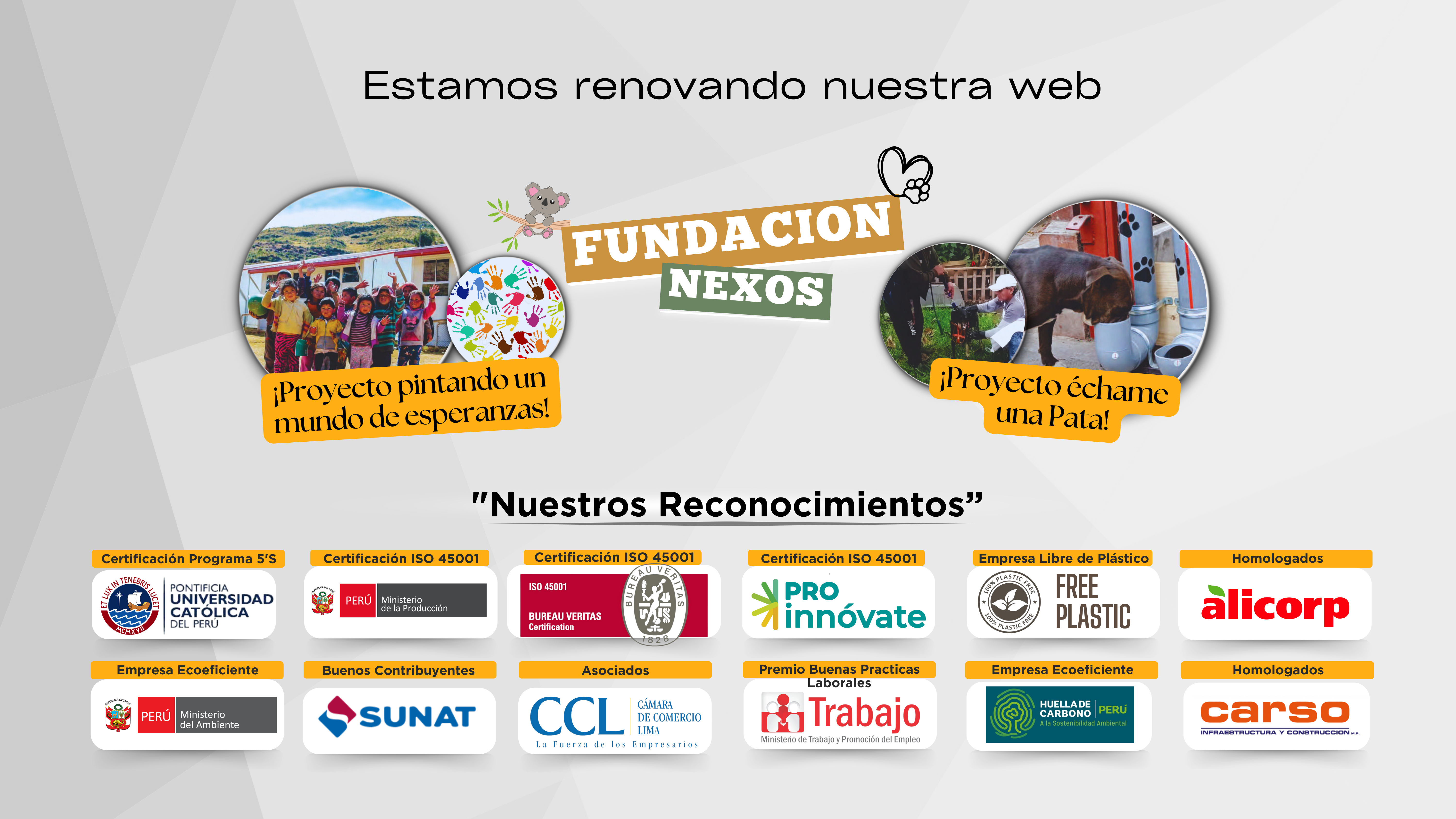 Consultoría